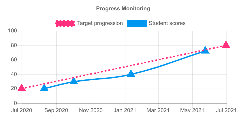 Document strategies and monitor progress